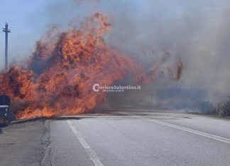 Incendio sulla 274, fiamme lambiscono stazione di servizio: automobilisti costretti a fare inversione a U sulla statale