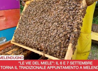 “Le vie del miele”, Melendugno festeggia le sue tradizioni e l’apicoltura, con percorsi esperenziali unici dal 6 al 7 settembre