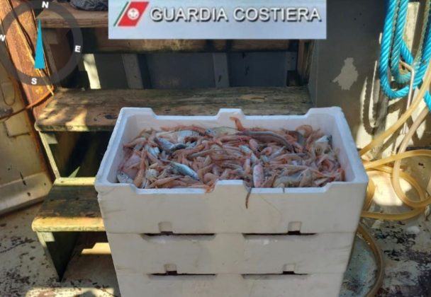 Pescava con rete a strascico irregolare: sequestrati rete e oltre 350 chili di pescato - Corriere Salentino