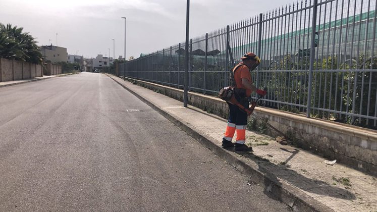 Sfalcio radicale delle erbacce a Nardò, da domani interventi sul primo gruppo di vie - Corriere Salentino