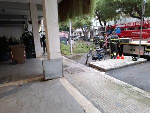 Crolla un grosso ramo, ancora problemi con le alberature a Lecce - Corriere Salentino