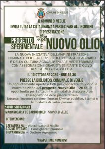 Al via il progetto sperimentale NuovOlio-2025: nuovi olivi resistenti alla Xylella per il rilancio del paesaggio agricolo locale - Corriere Salentino