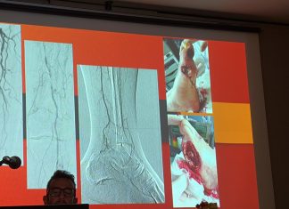 “Appropriatezza prescrittiva in diagnostica per immagini”: a disposizione una mail del Centro Calabrese per risolvere i dubbi