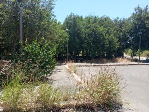 Lecce, dopo trent’anni arriva l’area camper, Dell’Anna: “Un nuovo passo per il turismo inclusivo” - Corriere Salentino