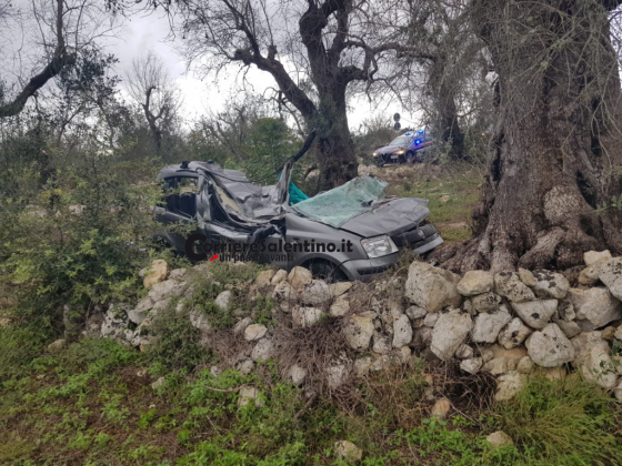 Tragedia sulla Cursi-Bagnolo: auto si schianta contro un ulivo, un morto - Corriere Salentino