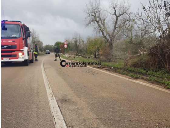 Tragedia sulla Cursi-Bagnolo: auto si schianta contro un ulivo, un morto - Corriere Salentino