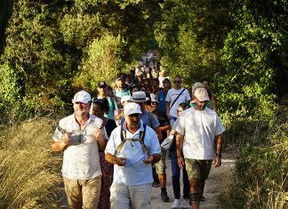 Morciano di Leuca, il Comune punta a generare lavoro con “Social Gardening”