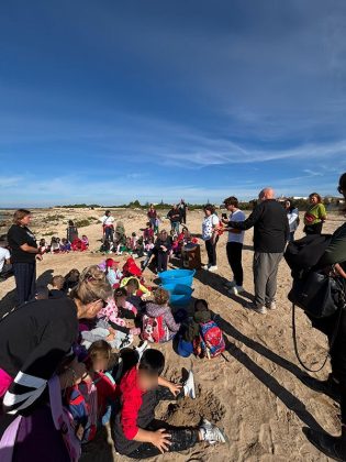 Area Marina Protetta Porto Cesareo: due tartarughe Caretta caretta tornano a casa - Corriere Salentino