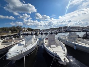 La darsena di San Cataldo bloccata dalle alghe, gli assegnatari dei posti barca vogliono trascinare il Comune in tribunale - Corriere Salentino