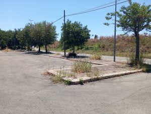 Lecce, dopo trent’anni arriva l’area camper, Dell’Anna: “Un nuovo passo per il turismo inclusivo” - Corriere Salentino