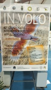 “In volo” a Carmiano, la mostra ornitologica che ha incantato bambini, appassionati e curiosi. La "scoperta" del "canarino salentino" - Corriere Salentino