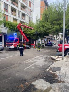 Crolla un grosso ramo, ancora problemi con le alberature a Lecce - Corriere Salentino