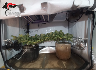 Leuca, due arresti per spaccio di sostanze stupefacenti nel giro di poche ore