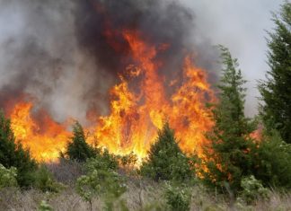 Quasi 6mila incendi nell’ultima estate salentina, più che raddoppiati rispetto all’anno scorso