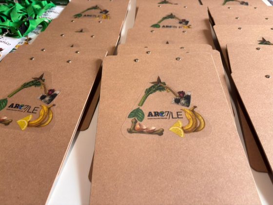 Aro7/le novità ecologica per 20 comuni: presentato il nuovo servizio sperimentale di raccolta differenziata della frazione organica - Corriere Salentino