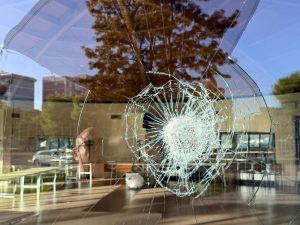 L’ira dell’assessore Guido contro i vandali che hanno danneggiato il centro sociale di viale Roma: “Aiutatemi a prenderli” - Corriere Salentino