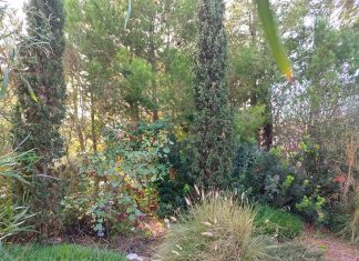 Manifatture Knos di Lecce: difendere il Giardino del Terzo Luogo, immaginare una nuova convivenza tra diritto allo studio e diritto alla terra