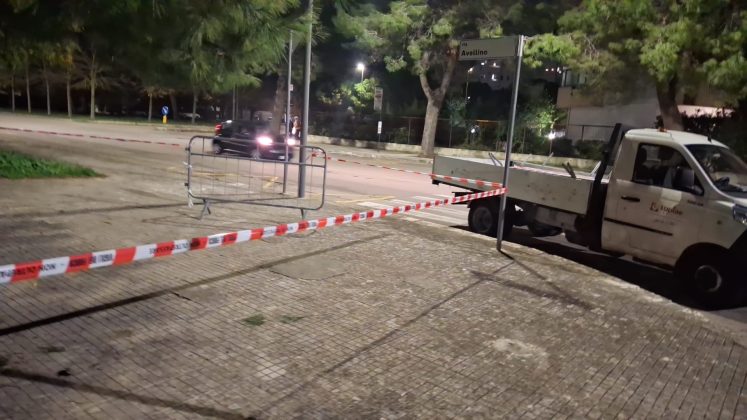 Crolla un altro grosso albero di pino, questa volta in via Siracusa. A Borgo Piave viene giù un grande ramo di pino - Corriere Salentino