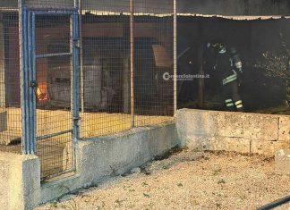 Incendio in un’azienda tessile: tettoia e veicolo devastati, salvato il capannone industriale