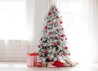 Sotto l’albero non siamo più gli stessi. Natale, famiglie ed emozioni dopo venticinque anni