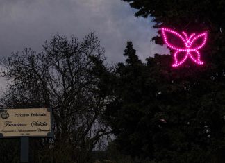 Il battito d’ali che illumina l’Aragona: Tuglie ricorda Francesca Solida