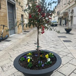 Più controlli, fioriere antintrusione in via Trinchese e un nuovo pannello in piazza Mazzini. Capoccia: “Più decoro e sicurezza” - Corriere Salentino