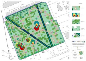 “Parco degli eucalipti” a San Cataldo: la giunta approva la delibera per il recupero funzionale - Corriere Salentino