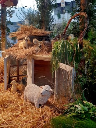 “Al Centro del Mondo”: il presepe artistico di Magliano compie 15 anni - Corriere Salentino