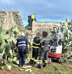 Cuccioli intrappolati in una tana. Salvataggio a lieto fine nelle campagne di Specchia - Corriere Salentino