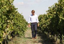 “Il vino deve restare umano”: Conti Zecca, tra radici e futuro Salento da gustare - Corriere Salentino