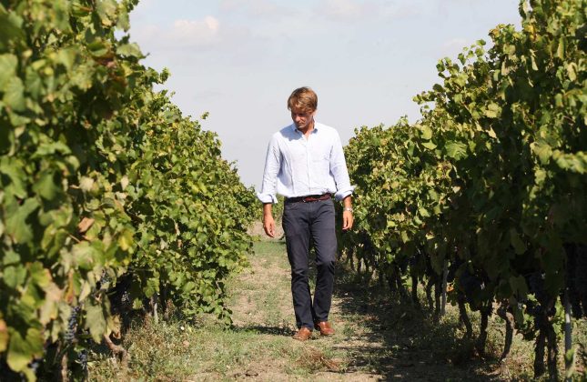 “Il vino deve restare umano”: Conti Zecca, tra radici e futuro - Corriere Salentino