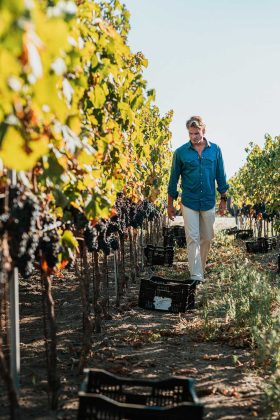 “Il vino deve restare umano”: Conti Zecca, tra radici e futuro - Corriere Salentino