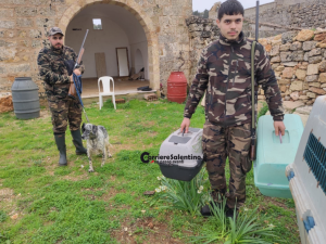 Intrappolati in una cisterna chiusa: gattini salvati a Patù - Corriere Salentino