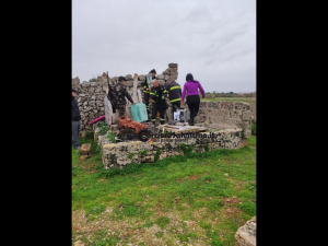 Intrappolati in una cisterna chiusa: gattini salvati a Patù - Corriere Salentino