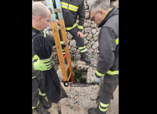Intrappolati in una cisterna chiusa: gattini salvati a Patù