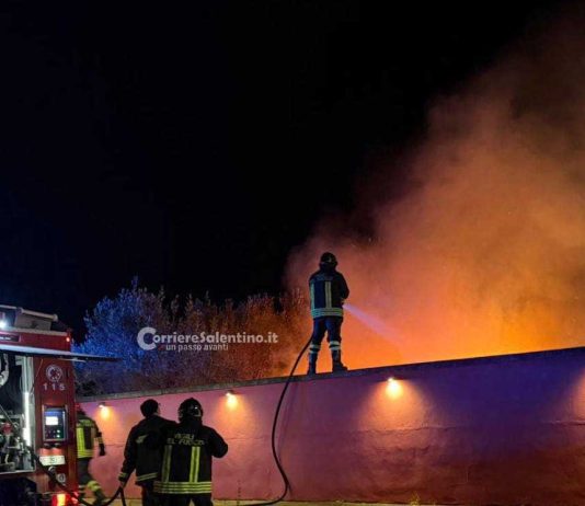 Ancora fiamme sul Salento, lungo la fascia ionica, ed entrano in azione due Canadair