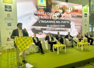 Olio: nel 2025 mercati invasi da mezzo miliardo di chili di prodotto straniero, solo da Tunisia +40%