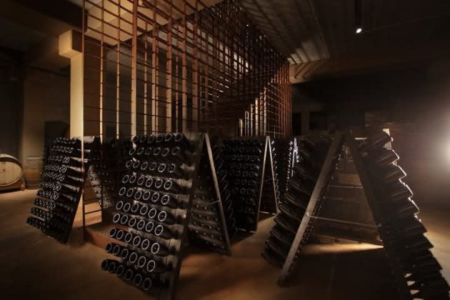 Schola Sarmenti, nel 2025 premi che portano il Salento nell’élite del vino mondiale - Corriere Salentino