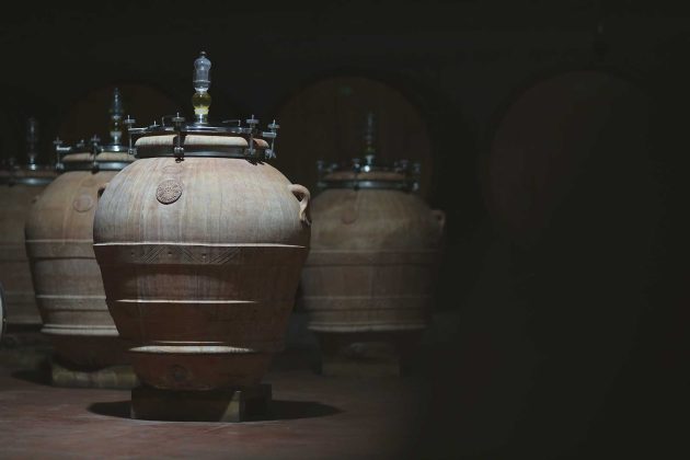 “Il vino deve restare umano”: Conti Zecca, tra radici e futuro - Corriere Salentino