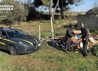 Bruciava rifiuti in un terreno agricolo: imprenditore denunciato dalla Guardia di finanza
