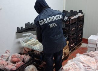 Controlli del Nas in provincia di Lecce: sequestrati oltre 22 quintali di carni senza etichettatura