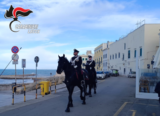 Lavoro sommerso e irregolare, controlli e multe per 20mila euro nel Gallipolino