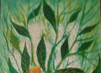 Vernissage mostra pittorica “Arte e solidarietà in memoria di Papa Francesco”