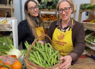 Arrivano le primizie in campo e al mercato da fave e a piselli