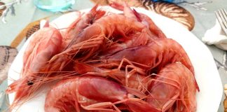 Home - Corriere Salentino