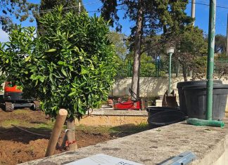 A Tuglie il verde si fa comunità con l’ inaugurazione degli “Orti di Puglia”