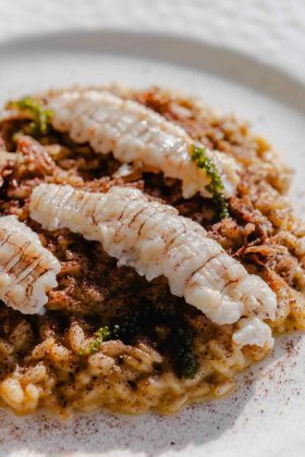 Aqua Restaurant, Porto Cesareo: quando il mare diventa memoria, tecnica e futuro - Corriere Salentino