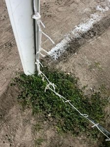 Atto vandalico al Campo di Lizzanello: reti tagliate nella notte - Corriere Salentino