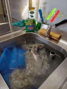 Polizia Locale di Lecce in azione contro i parcheggiatori abusivi e per la sicurezza alimentare: controlli mirati e sanzioni - Corriere Salentino