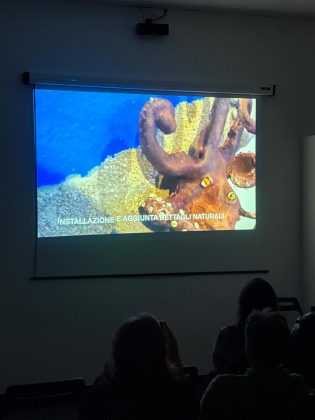 L’Acquario del Salento è più accessibile, inclusivo e interattivo - Corriere Salentino